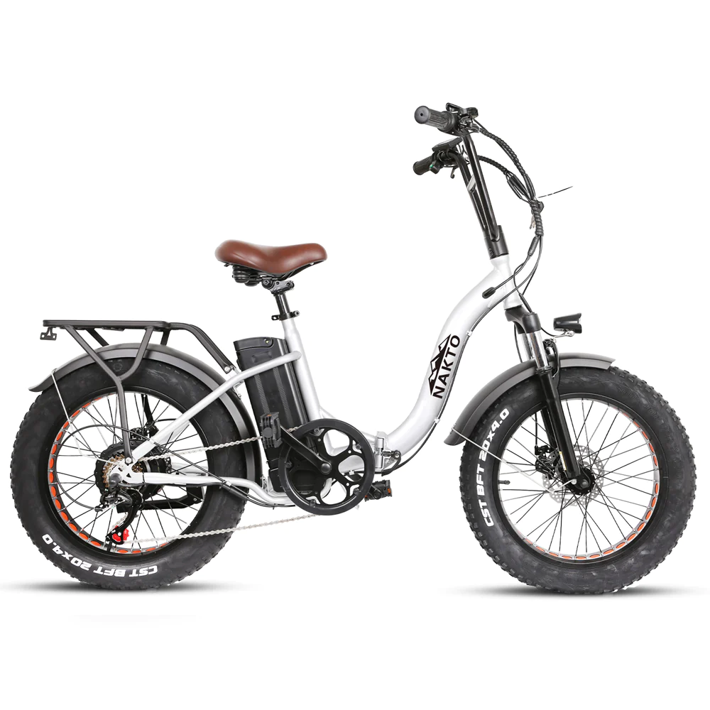 Step Through Electric Bike - Electric Bikes Tips